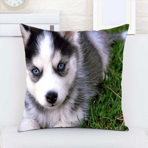 Cute Husky Puppy Covers for Sofa