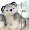 Simulation Husky Dog