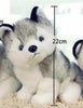 Simulation Husky Dog