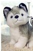 Simulation Husky Dog