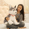 Small cute plush Husky