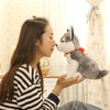 Small cute plush Husky