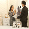 Small cute plush Husky