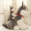 Small cute plush Husky