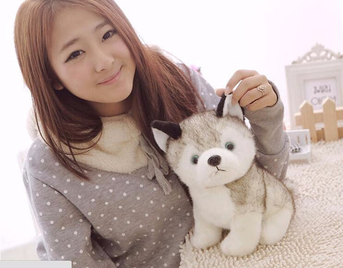 Simulation Husky Dog