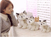 Simulation Husky Dog